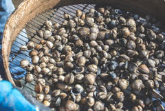 800g Cockles
